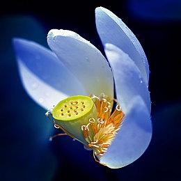 《高压水枪模拟器》遭遇离奇BUG 玩家不能看太阳